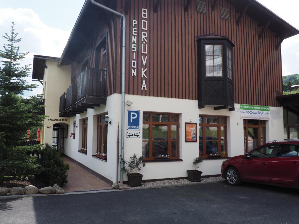 Boruvka * Špindlerŭv Mlýn