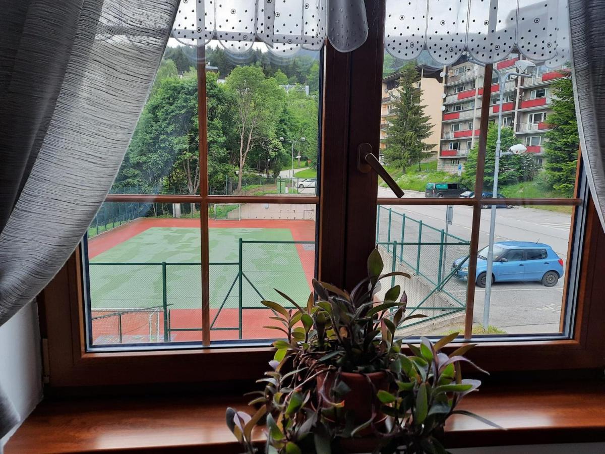 Boruvka Apartment *