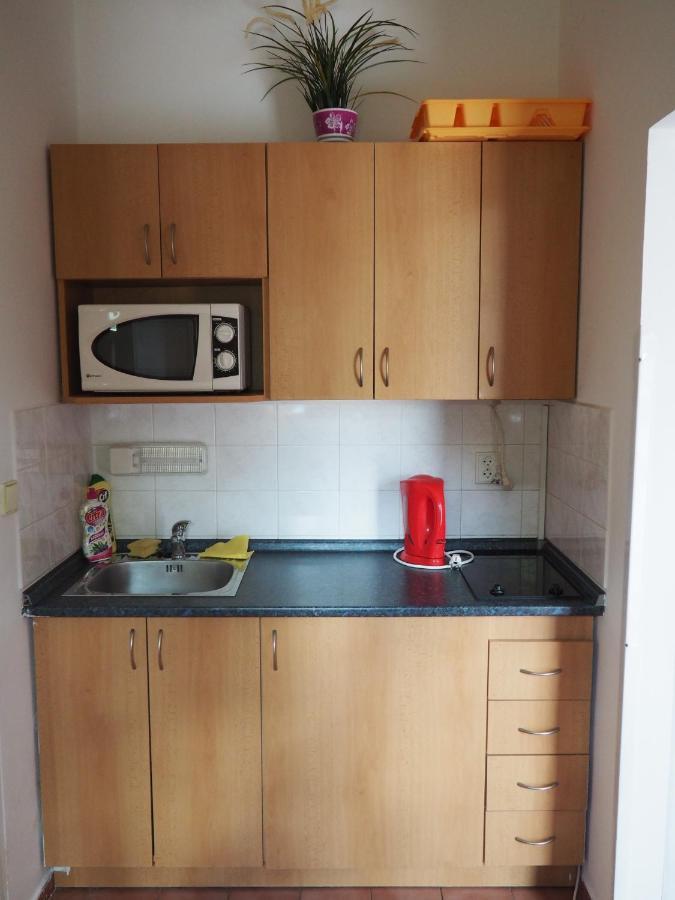 Apartment Boruvka *