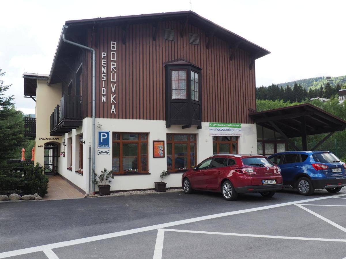 Apartment Boruvka