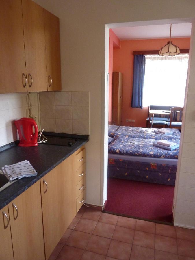 Boruvka Apartment