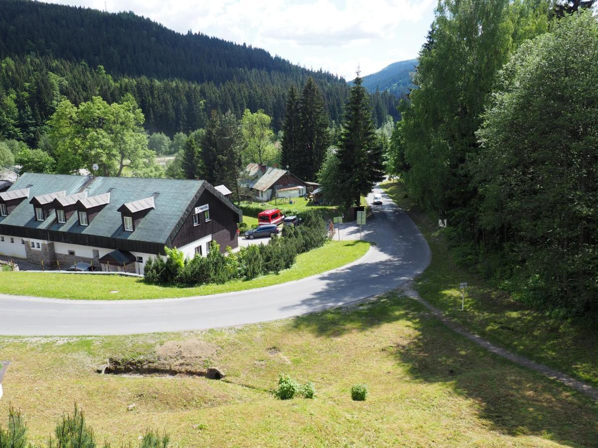 Boruvka * Spindleruv Mlyn